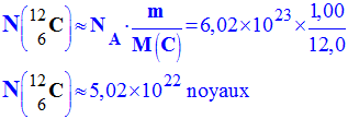 N C (12, 6) = 5,02 E22 noyaux