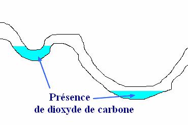 grotte et CO2