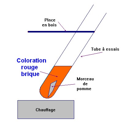 Test � la Liqueur de Fehling