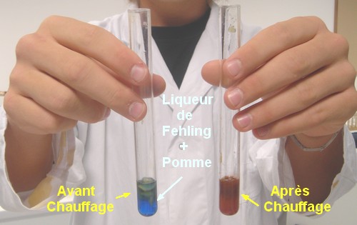 Test � la Liqueur de Fehling