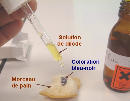 Test sur un morceau de pain