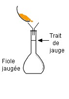 fiole jauge