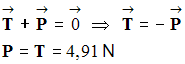 P = T = 4,91 N