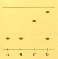 CCM