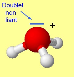 ion oxonium