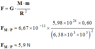 F M/P = 5,9 N