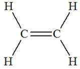 thylne