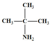2-mthylpropan-2-amine
