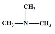trimthylamine