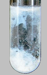 pr�cipit� blance de sulfate de baryum