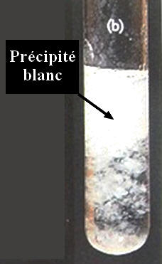 pr�cipit� blanc d'hydroxyde de zinc II