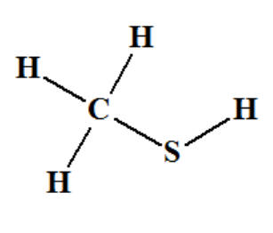 CH4S : m�thanethiol