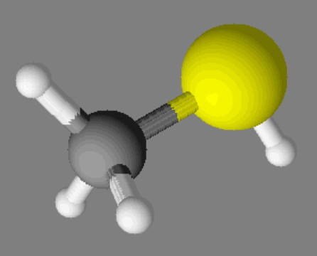 CH4S : m�thanethiol
