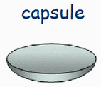 capsule