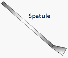 spatule
