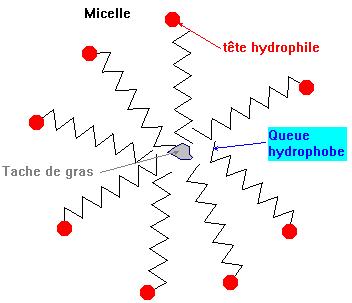 Une micelle