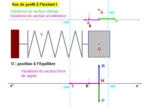 pendule lastique horizontal