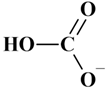 ion hydrognocarbonate