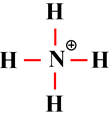ion ammonium