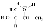 (3-mthylbutan-2-yl)oxonium