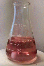 Erlenmeyer 02