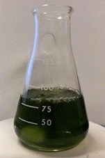 Erlenmeyer 05
