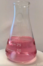 Erlenmeyer 07