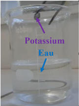  Potassium mtal dans leau
