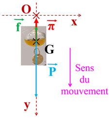 schma du bilan des forces