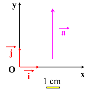 schma