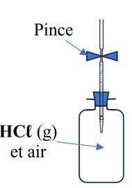 schma 02