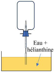 schma 03