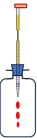 schma 04