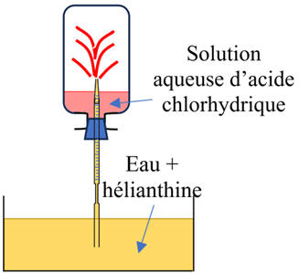 schma 05