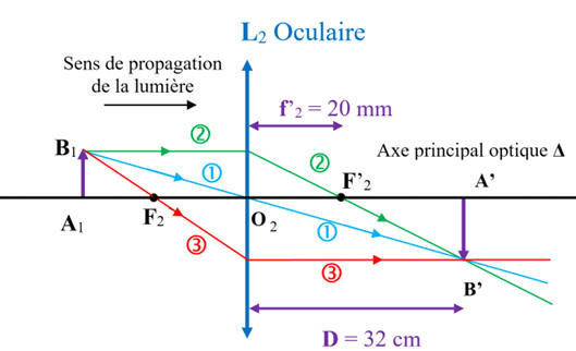 oculaire