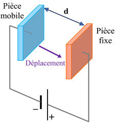 schma 05