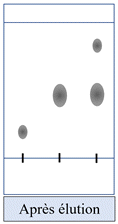 chromatogramme
