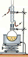rponse C