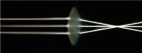 lentille