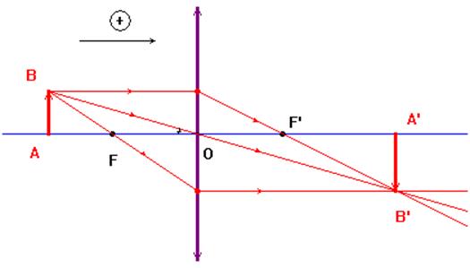 rayons particuliers