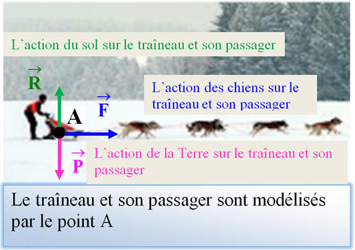 Traineau : bilan des forces