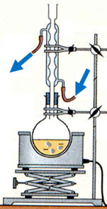 rponse C