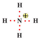NH4+