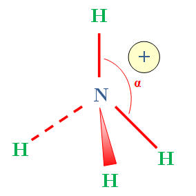 NH4+