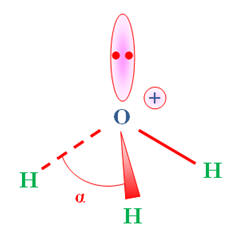 H3O+