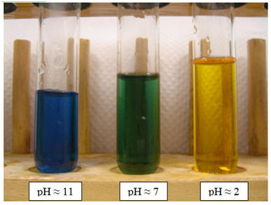différentes teintes prises par le B.B.T 