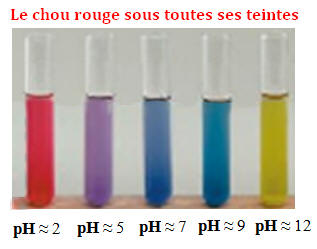 teinte de la solution de chou rouge