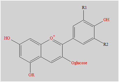 Cation flavylium