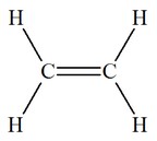 thylne
