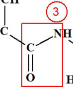 groupe amide